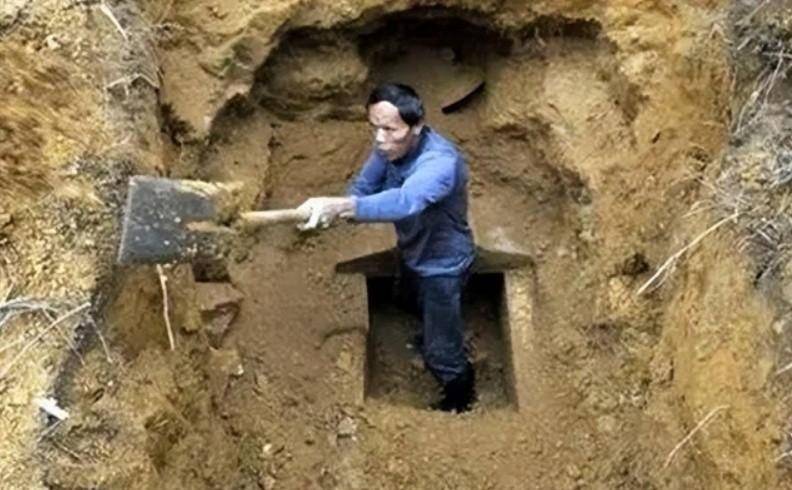 盗墓贼看到古墓旁栽柳树,为何转身就走?