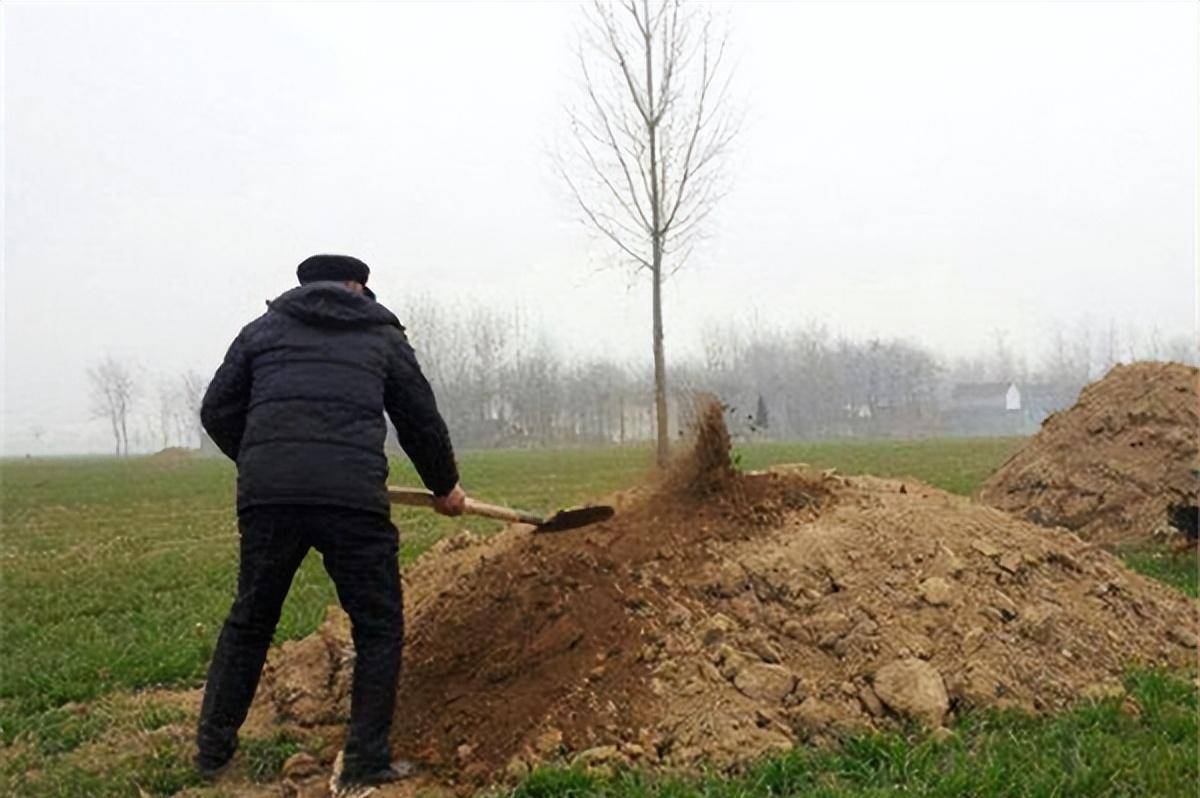 有依据吗_什么_墓穴_坟墓