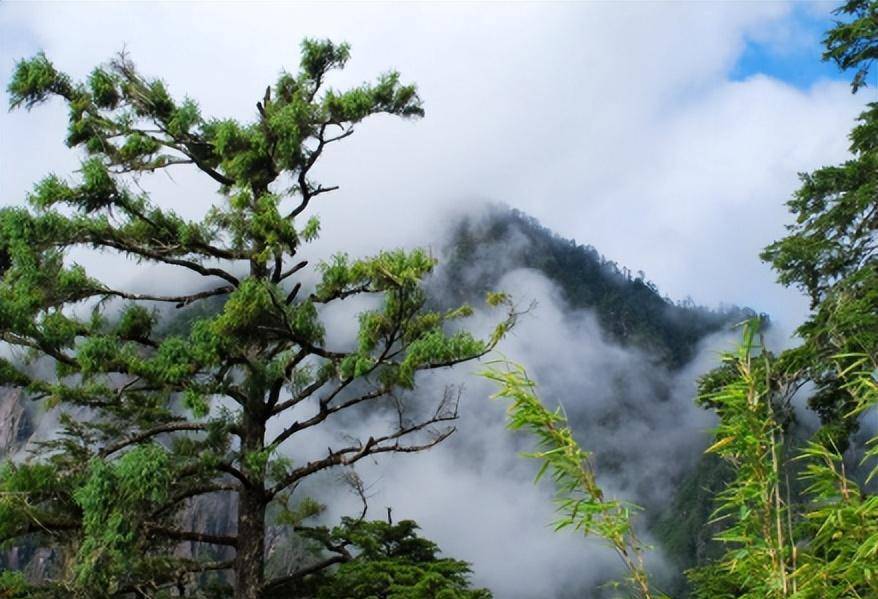 滇西缅北-黄种人的老家_腾冲_云南_中国