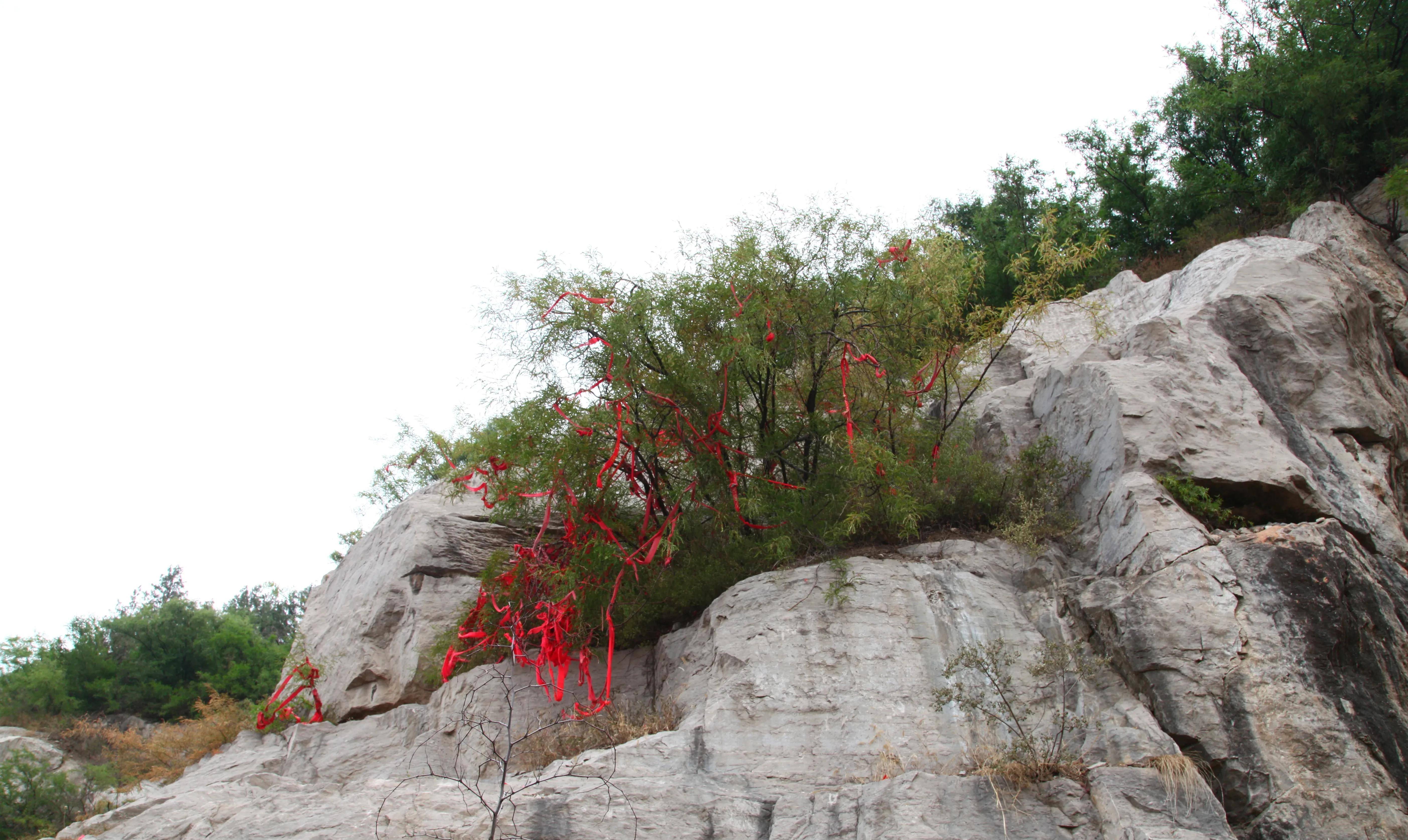 浚县大伾山发生的大事,2001年期间,有没有你感兴趣的事情?