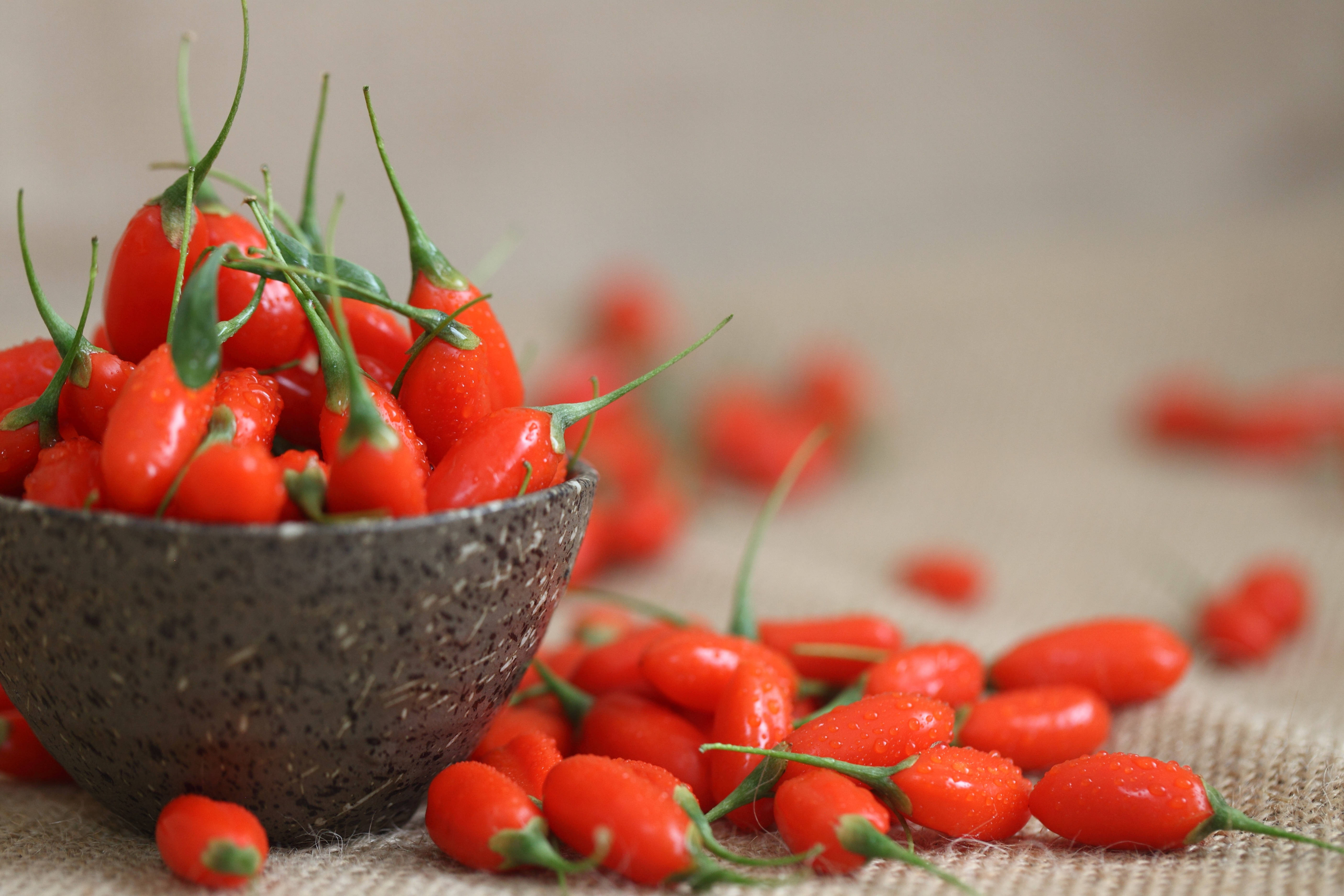 宁夏枸杞子基地哪家规模大:新宇晟枸杞基地,引领宁夏枸杞产业走向辉煌