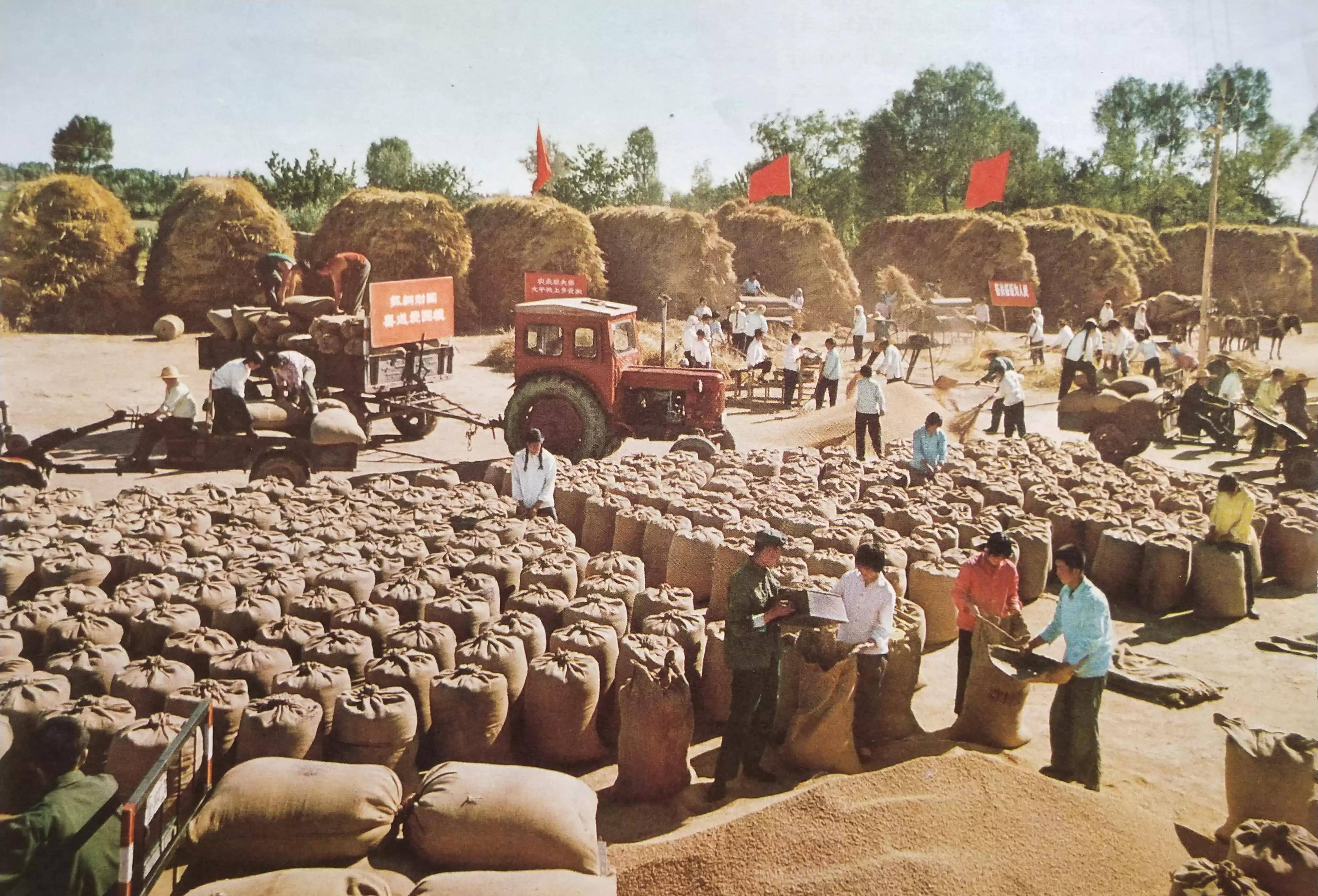 70年代农民劳动的图片图片