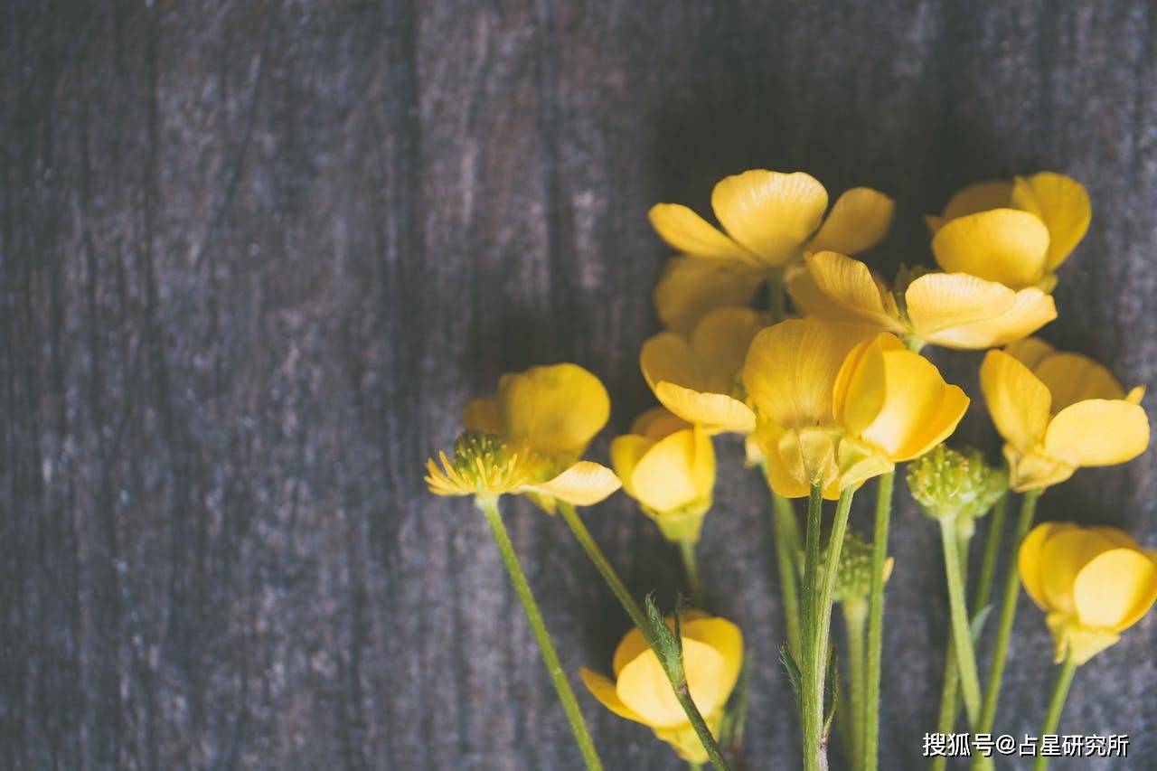 壁纸 花 桌面 1280_853