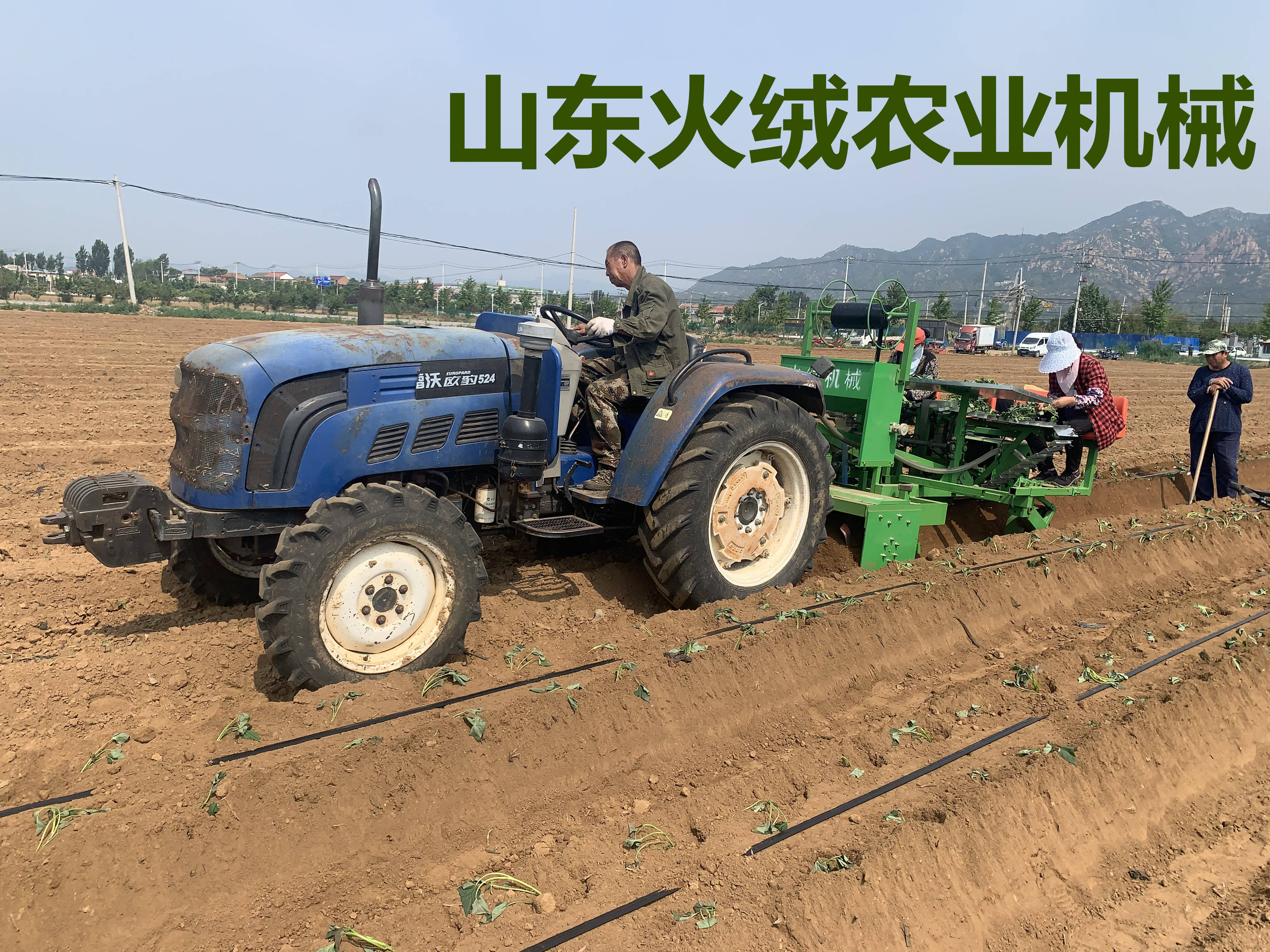 地瓜苗插秧机 红薯苗栽植机 蜜薯种植秧苗移栽机 红薯起垄施肥铺滴灌