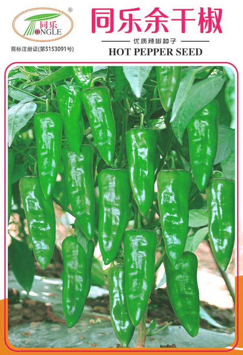 同乐余干椒薄皮香椒辣椒种子_品种_种植_上市