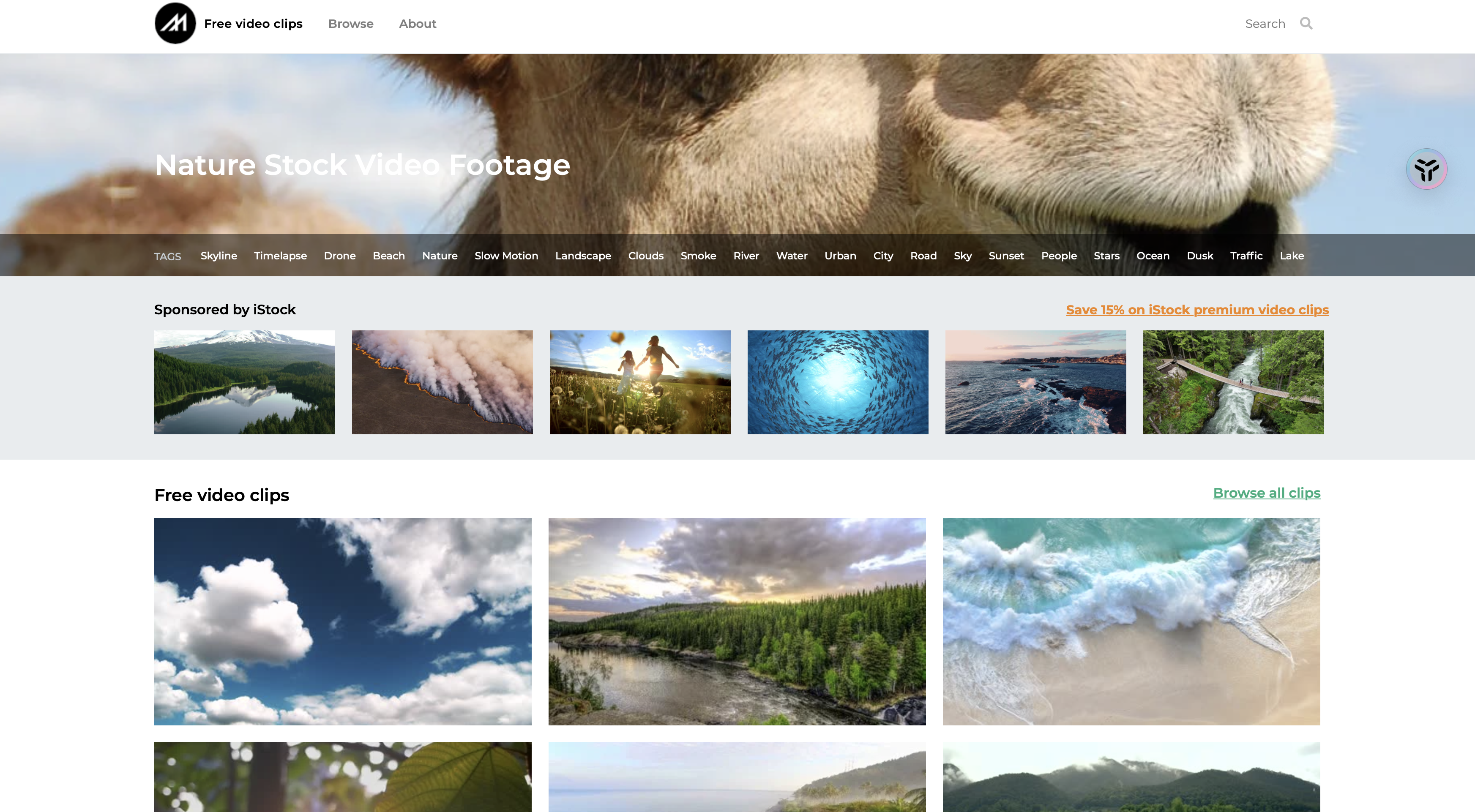 如果你需要富有艺术感的解压视频素材,那么mazwai将是你的不二之选.