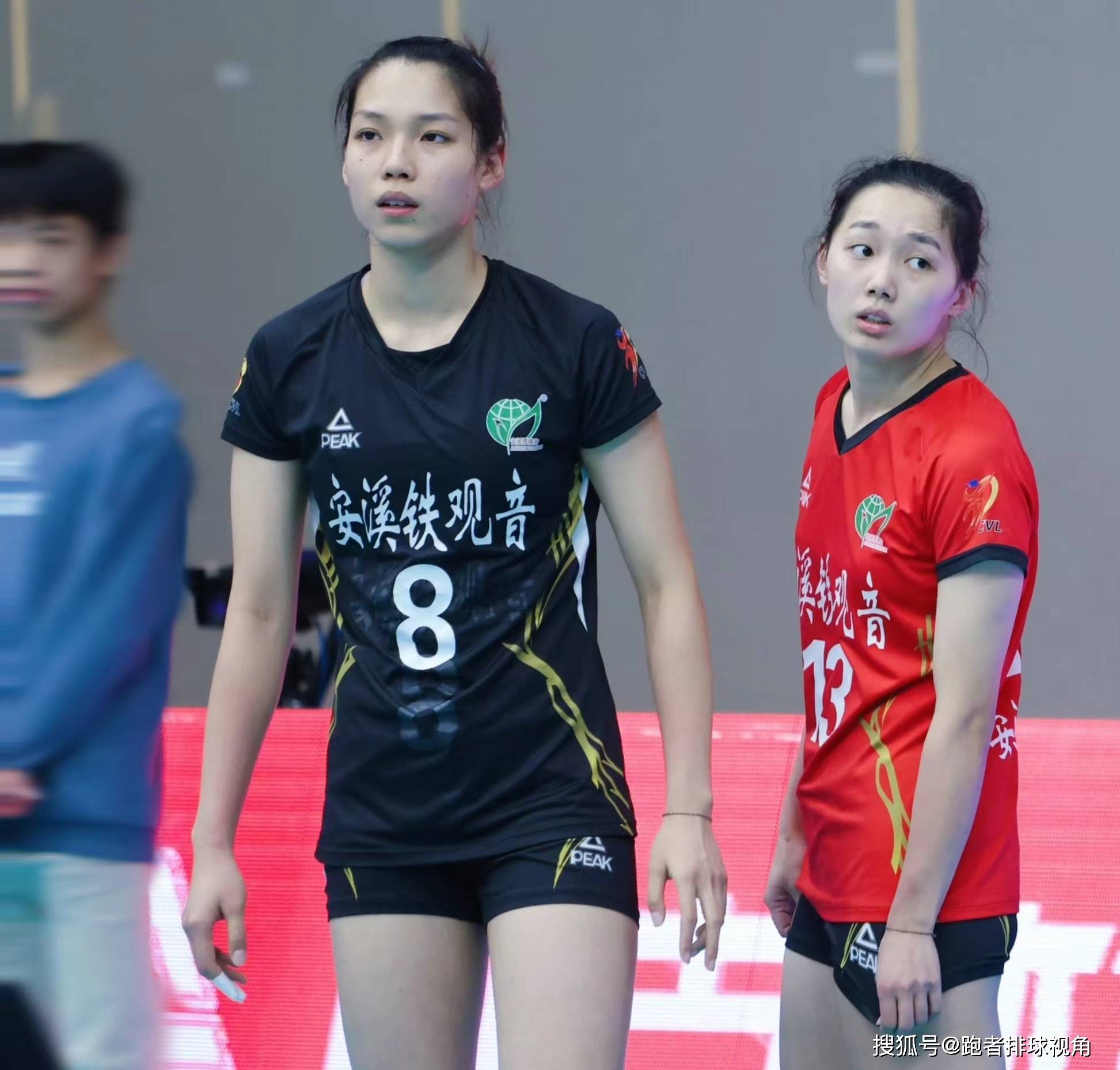 仅两个新面孔,姚迪无缘集训,朱婷号码被保留,江苏女排成大赢家_张常宁