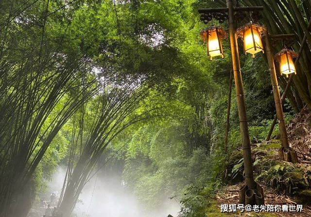 川西竹海景区,自然界的宝藏,是人们逃离城市喧嚣的理想之地!