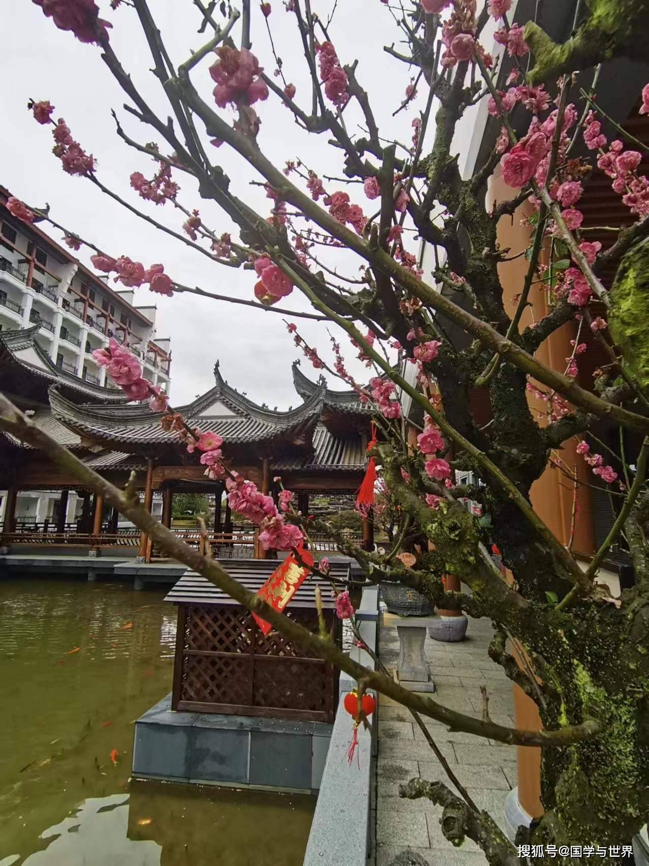 甲辰春节江南纪行组诗(下篇)_扬州_江苏_大连市