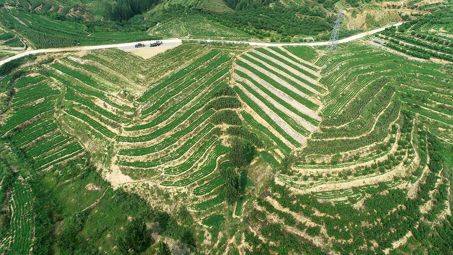 矿山修复:守护绿水青山,技术挑战与环境意义_发展_公众_工程