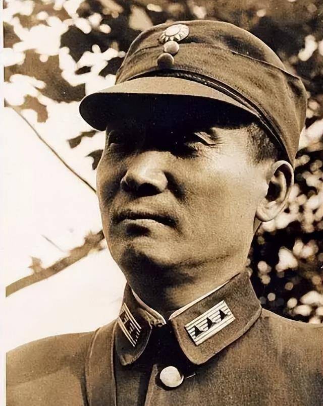 乌思满派去的人一到阜康,就被骑五军抓住了,吴忠信得知这个消息后