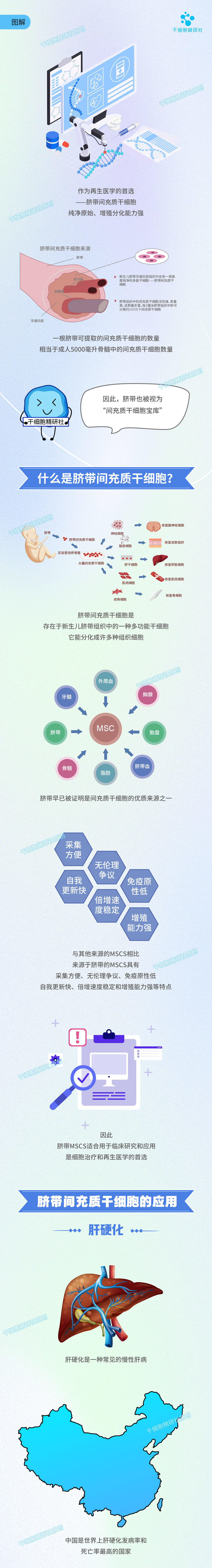 图解:干细胞中的明星——脐带间充质干细胞_来源_内容