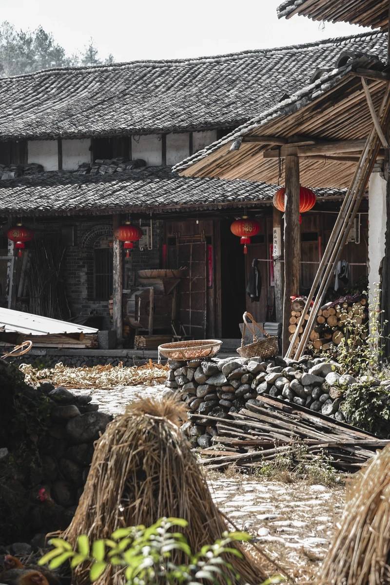 永嘉屿北古村_村落_规划_林坑村