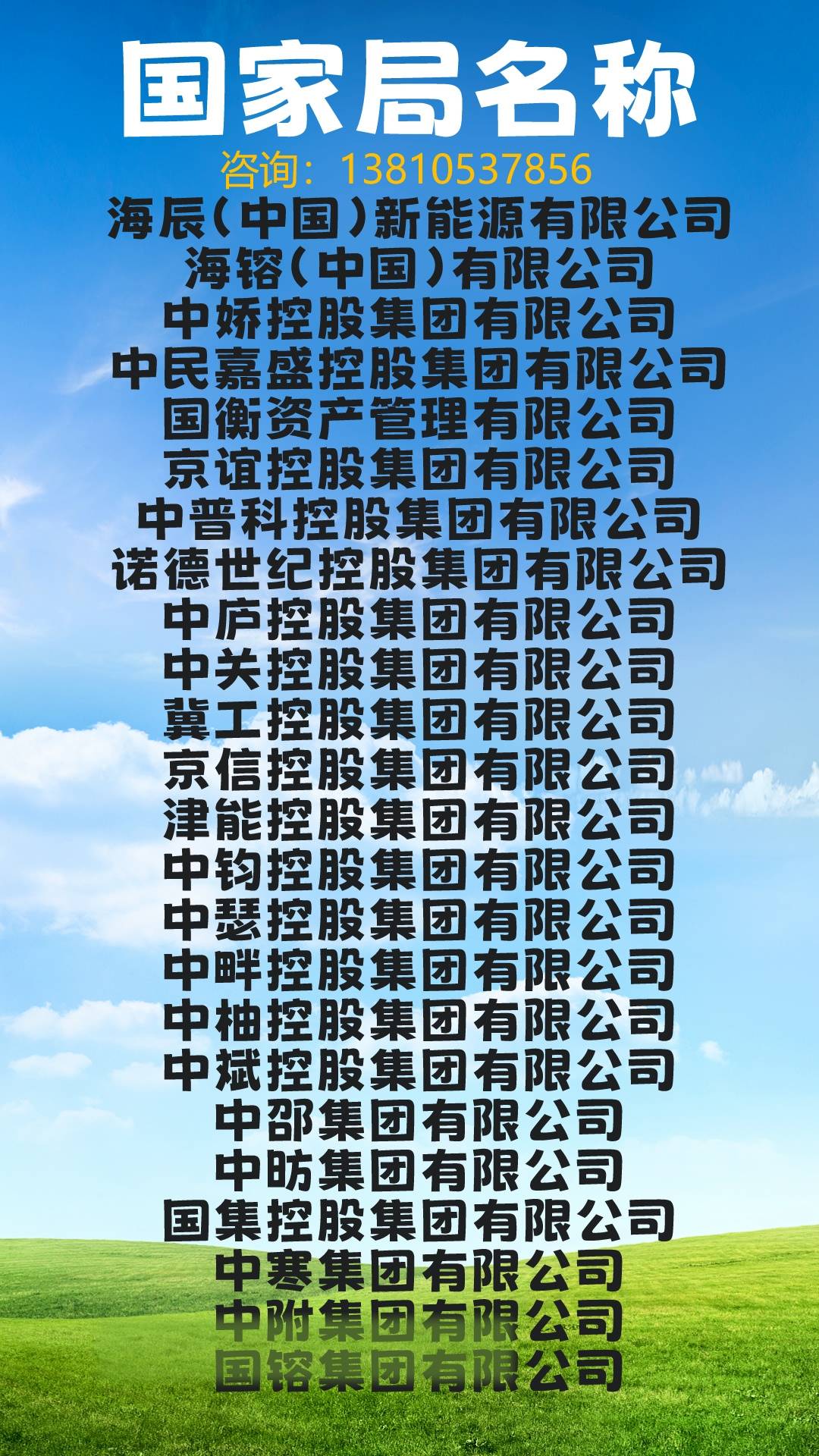 国家局核名流程,条件的最新政策解读_公司_名称_行业