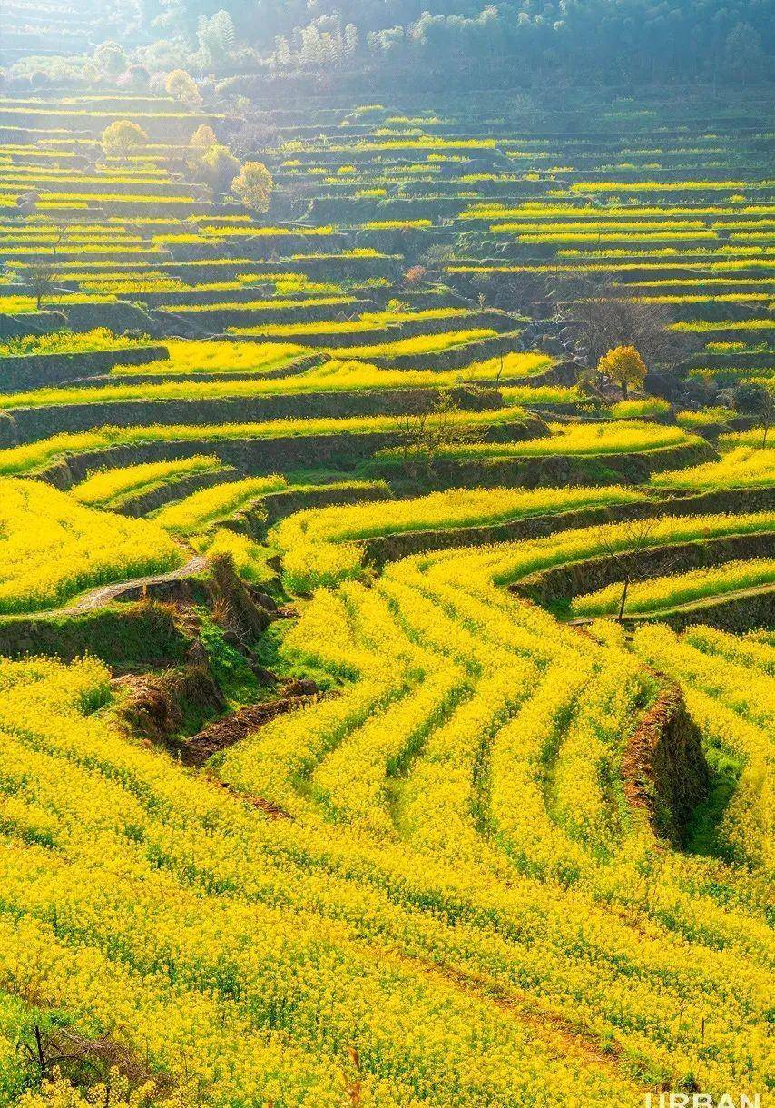 原创这里因一个女子而得名这些上虞人老底子的烟火时光你还记得吗