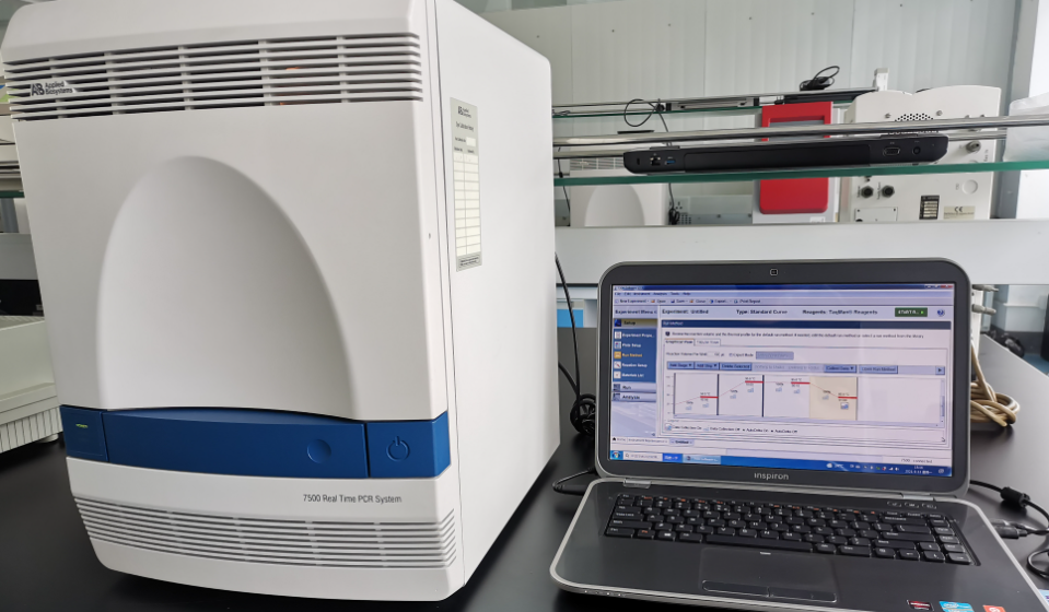 荧光定量pcr实验方法和应用介绍_进行_检测_样本