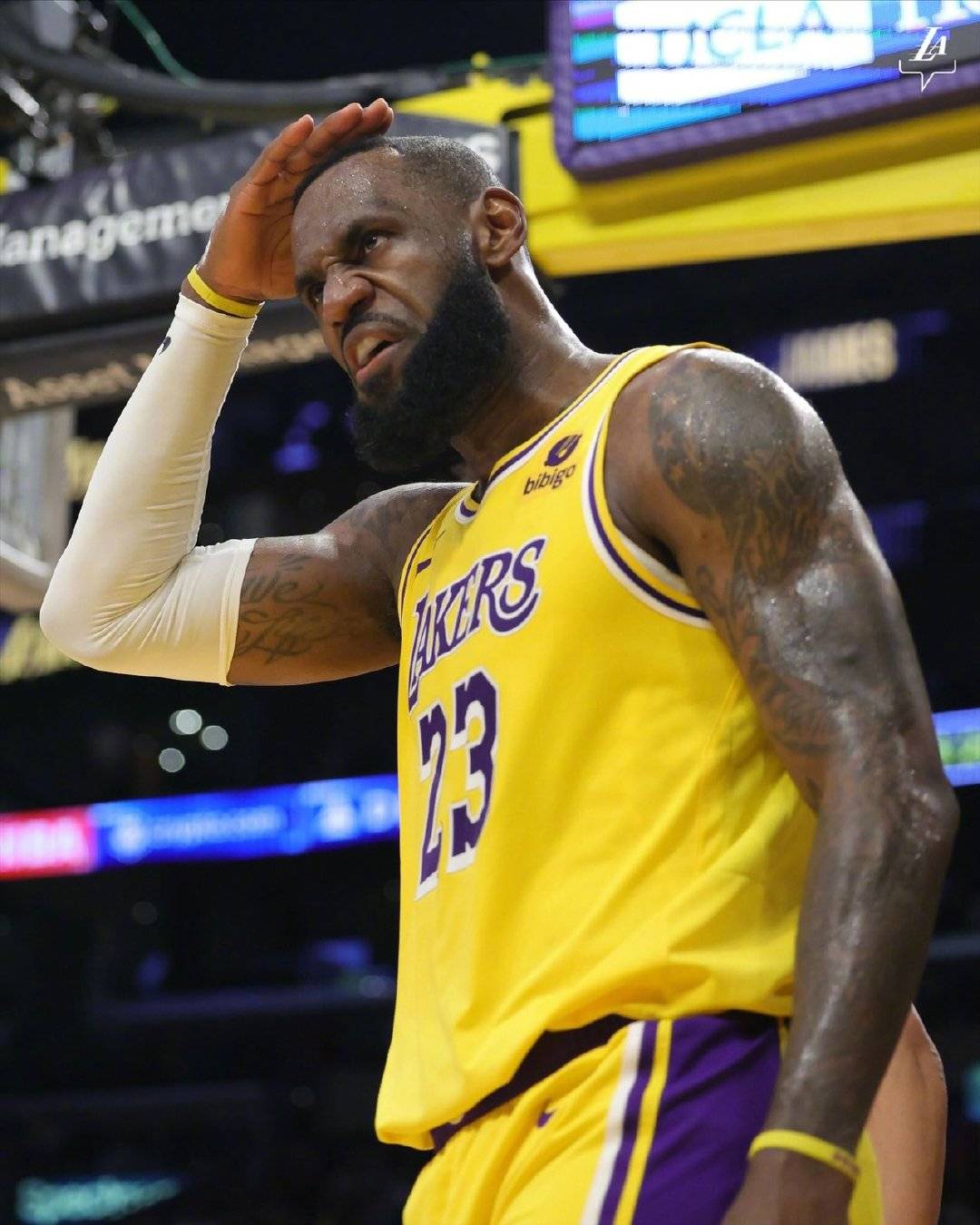 库克说球nba湖人vs雄鹿湖人主场能否拿下积分