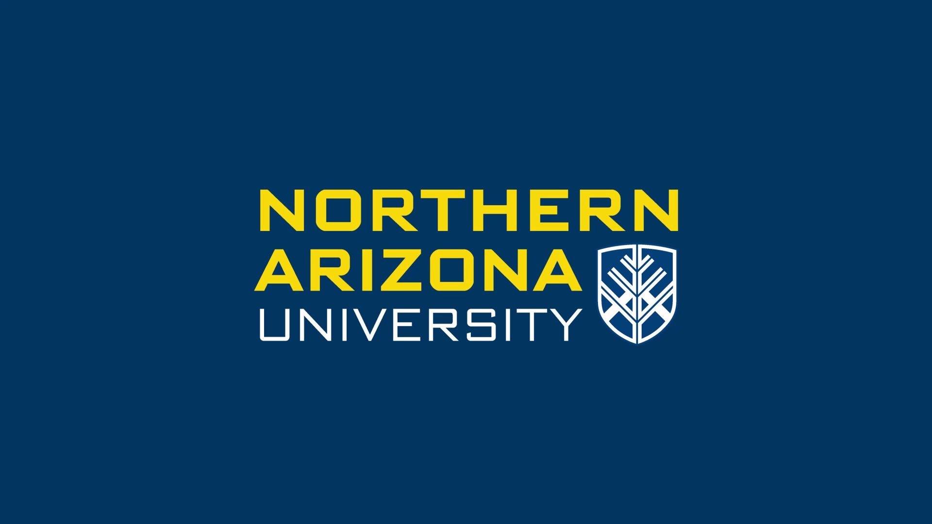 2024北亚利桑那大学(nau)计算机信息技术硕士(mcit)正在招生中,灵活的