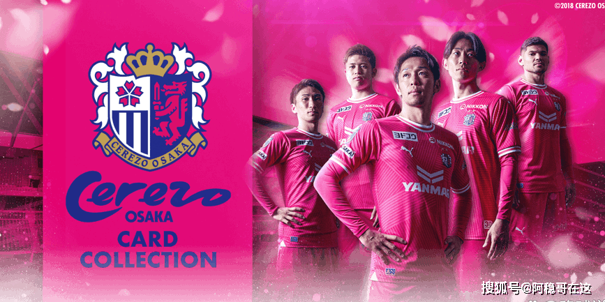 日职联大阪樱花vs东京绿茵绿茵新赛季能期待什么