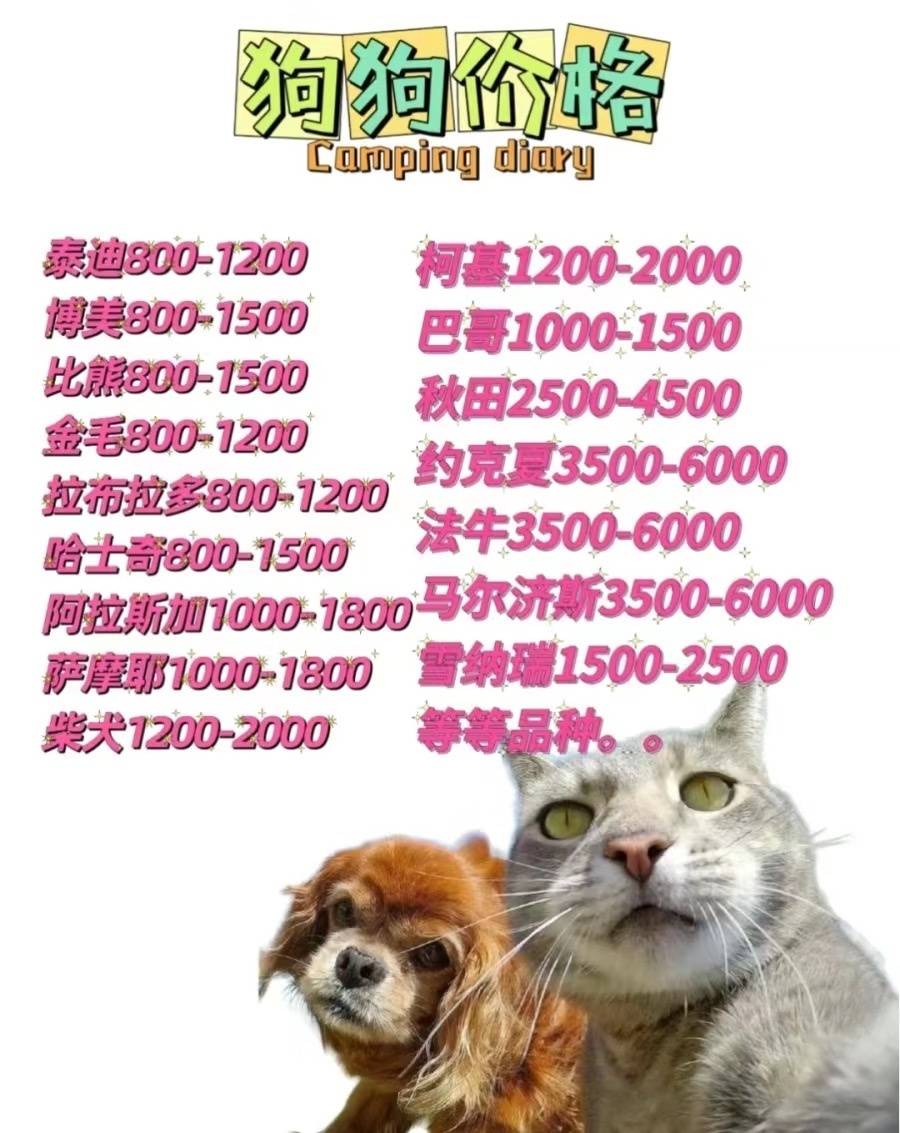 王者账号正规出售安全吗可靠吗知乎