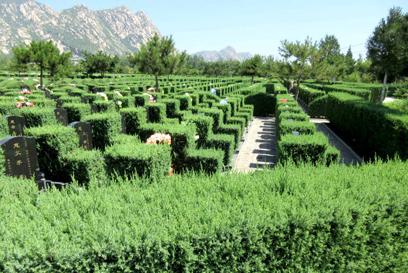 北京长安园墓地是合法的吗