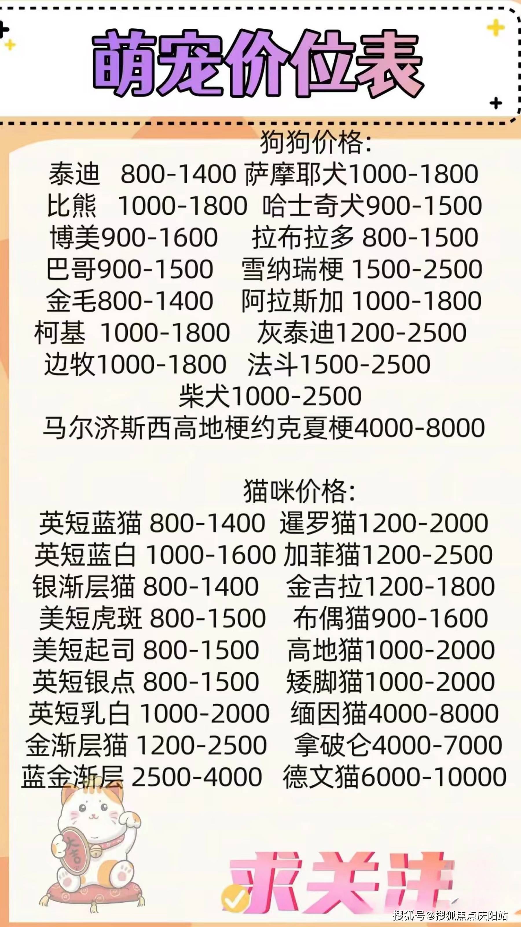 苏州买博美在哪里买可靠靠谱这里安全可靠还能实体店挑选宠物