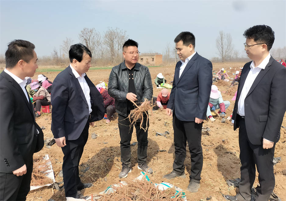兴平南位镇乡村振兴产业兴