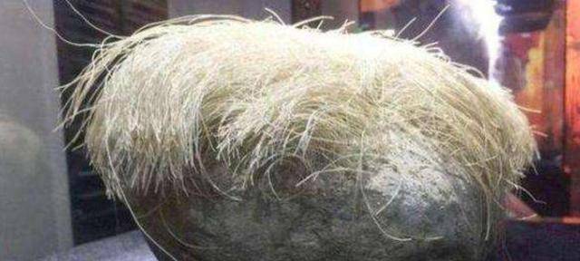 原创老农捡到一长满白发的石头专家前来看过后连忙喊人封锁村子