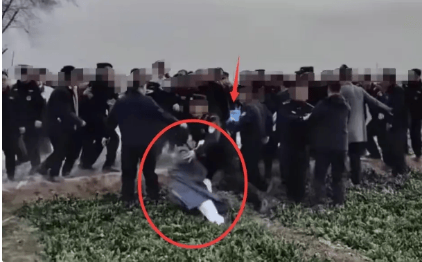 原创校园恶魔肆虐法律岂能轻判河北三名中学生杀人埋尸案震惊全国
