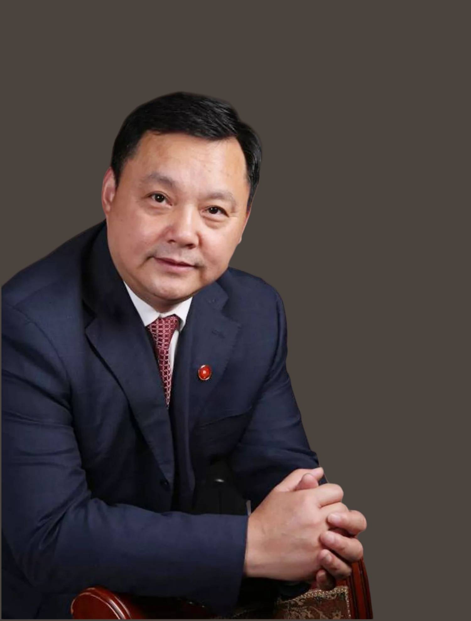 陈智林先生简介:王德军《雪霁春消息》50×36cm