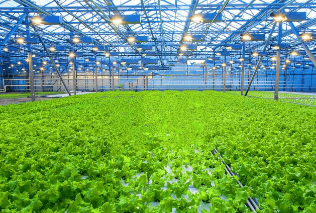 高效生态农业八字要诀