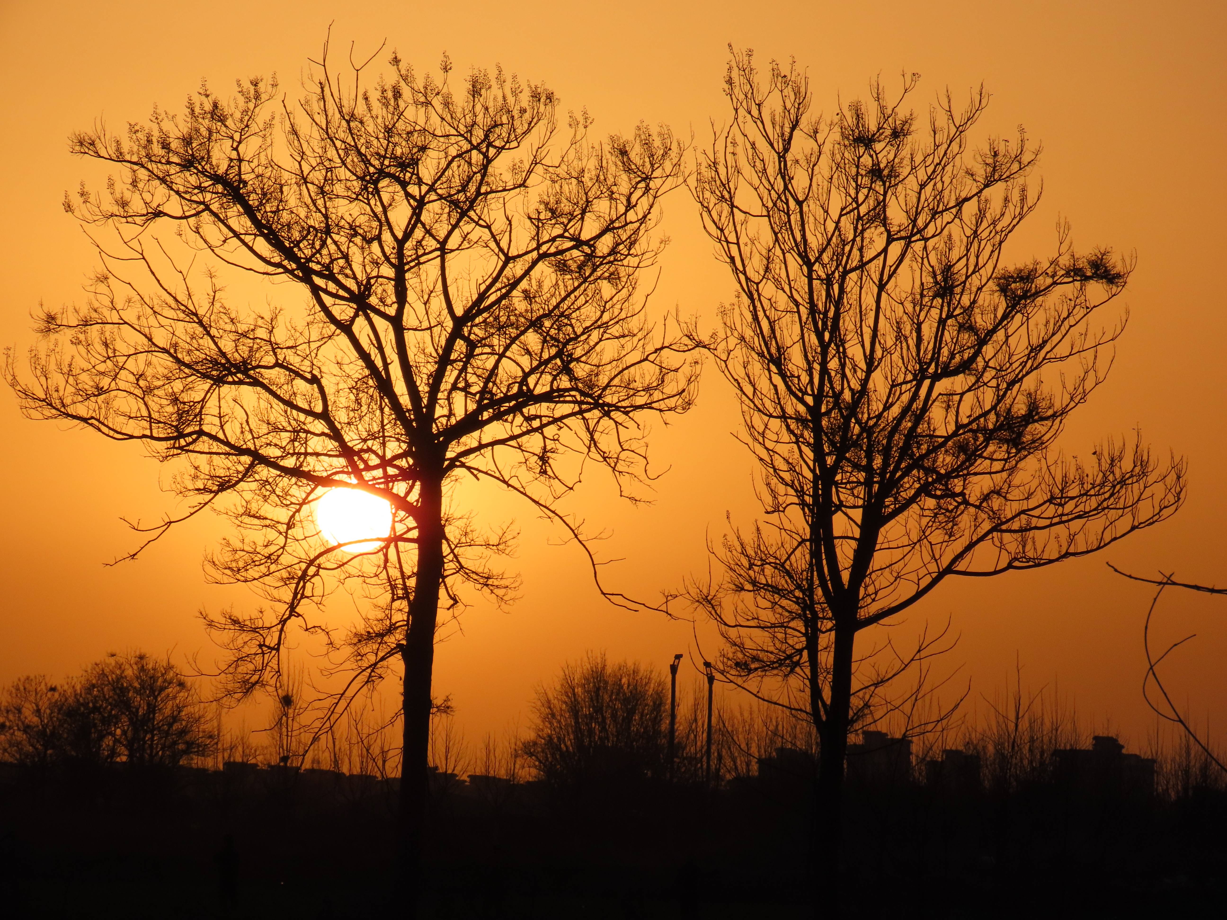 岭军峪的春天_杏花_晨曦_苍鹰
