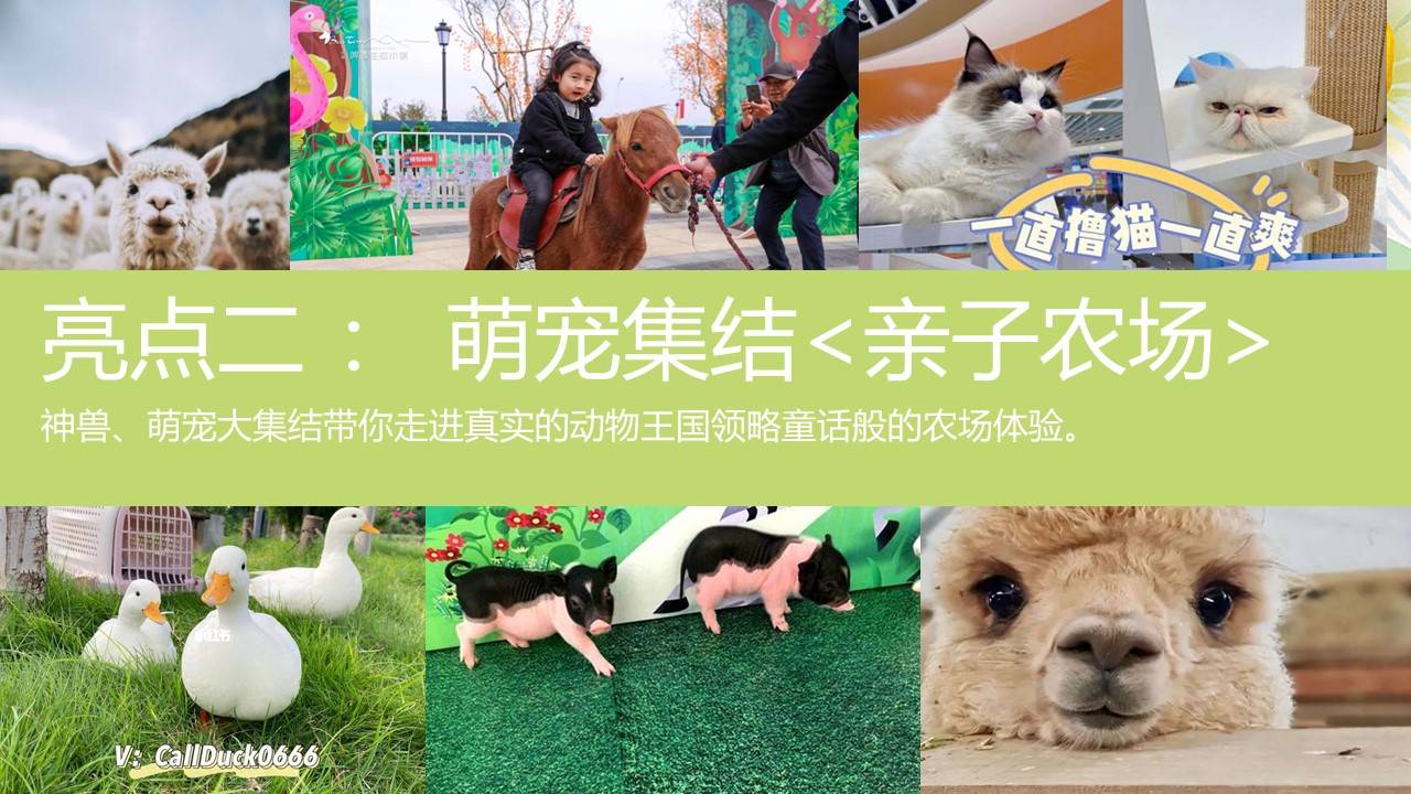 萌宠手工游戏运动春季商业地产市集嘉年华活动策划方案(附下载)