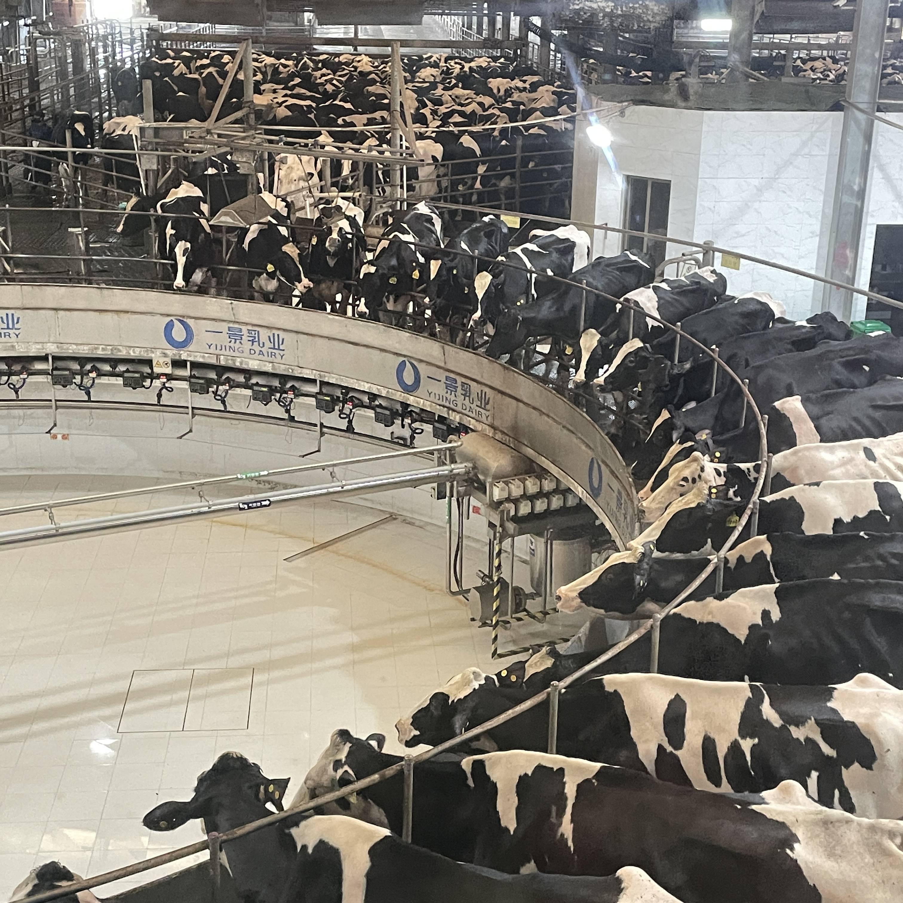 —科技创新助力健康乳业