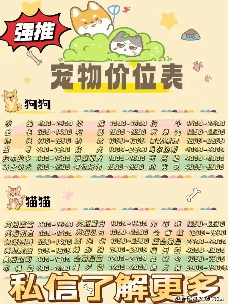 宁波买布偶首页网站丨布偶猫多少钱一只宁波布偶猫多少钱一只丨买宠物