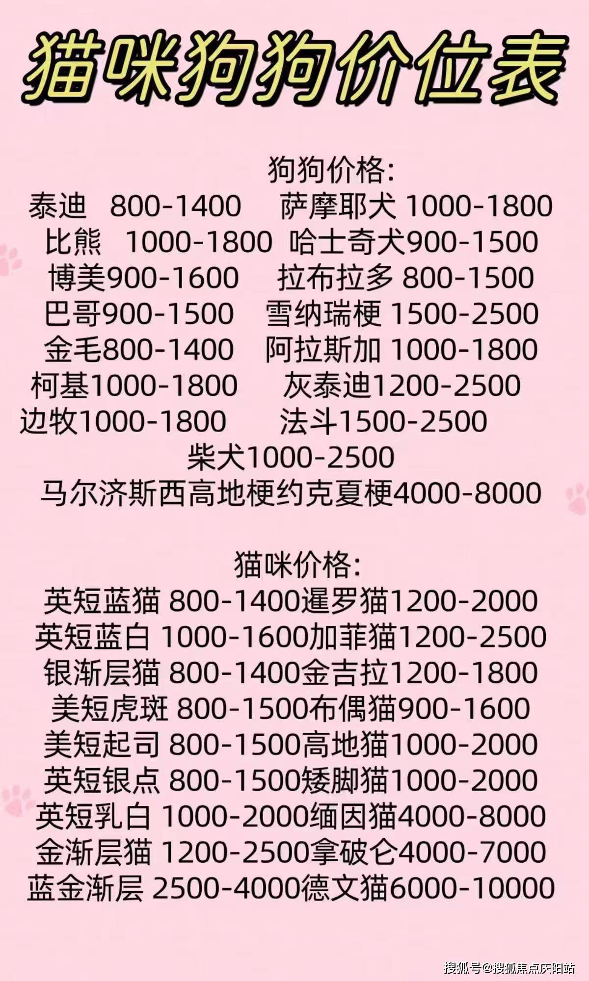 宁波买博美首页网站丨博美狗狗什么价格宁波博美狗狗什么价格丨买宠物