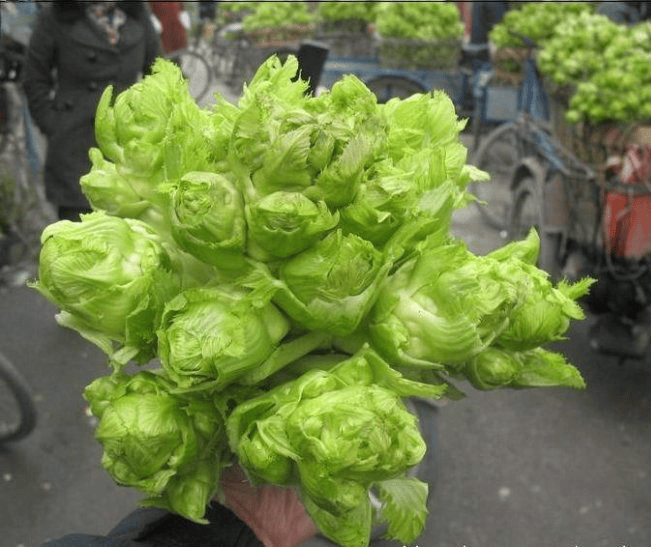 春天,使劲吃这菜,比荠菜营养,比韭菜鲜,不懂吃真亏_儿菜_做法_腊肉