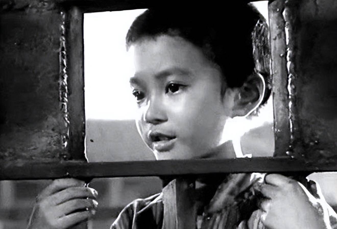 1949年徐林侠哭着对特务说放了小萝卜头吧就让他讨饭去