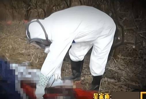 因儿子被拐父母悲伤自杀23年后女儿执意开棺竟成功找到弟弟