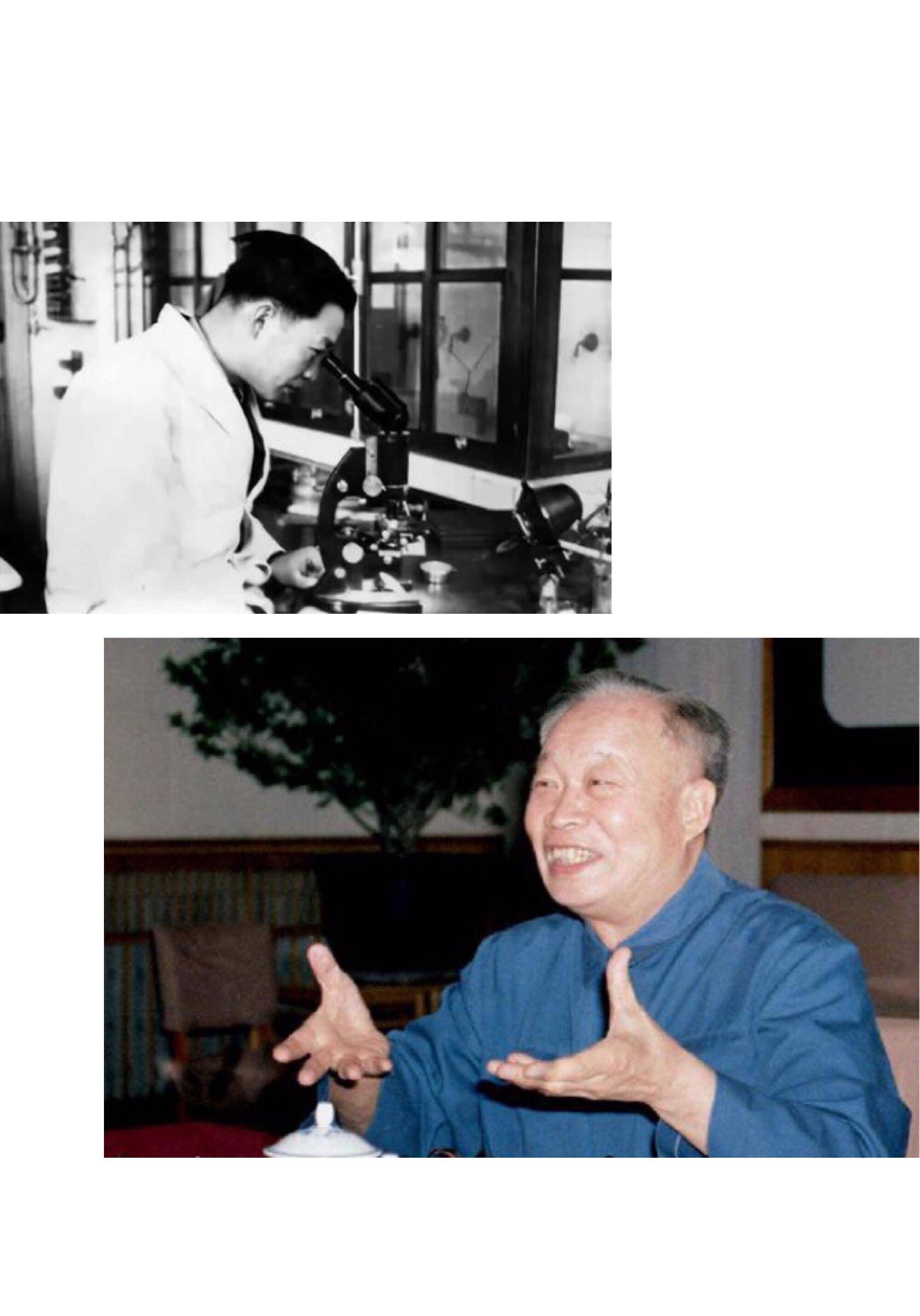 当然,若没有严济慈的介绍,当年才24岁的钱三强,或许不会那么顺利地