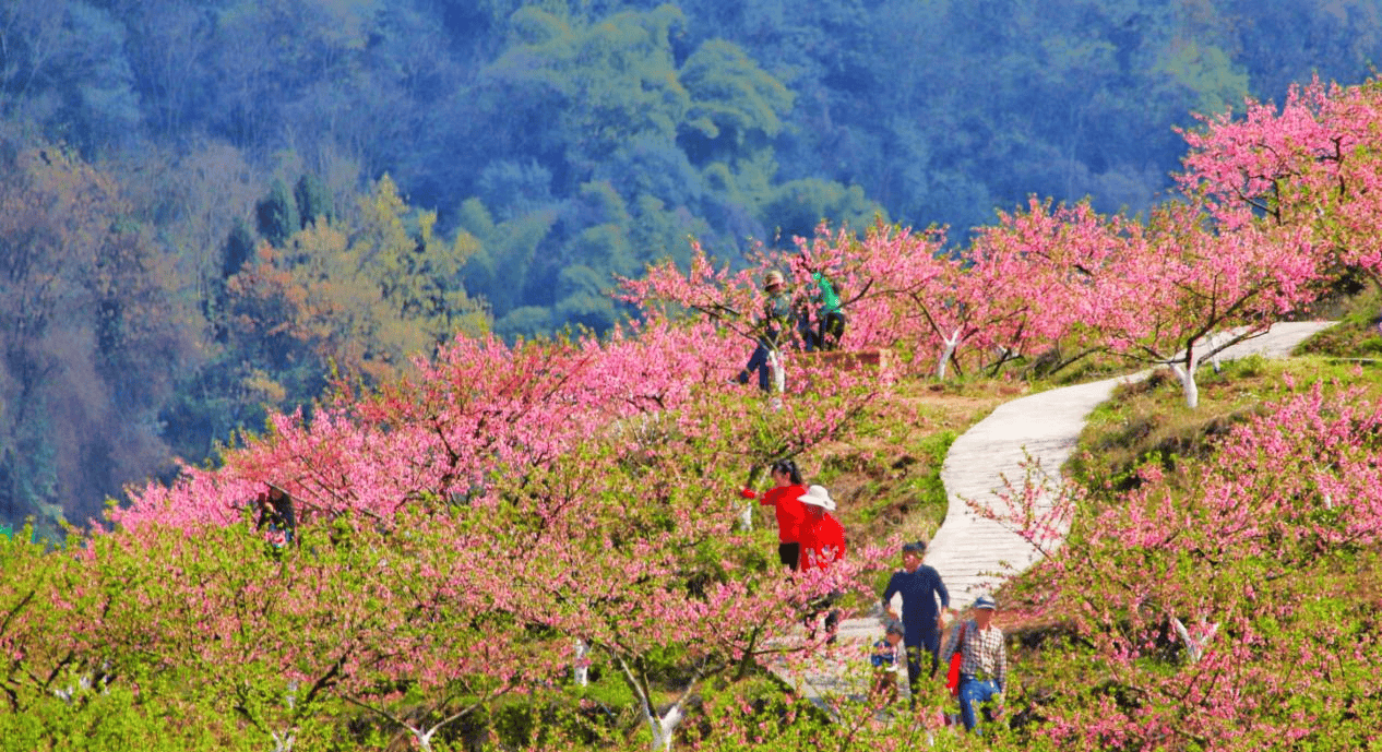 重庆铜梁荷和原乡打造生态科技农业新典范_荷花园_乡村旅游_游客