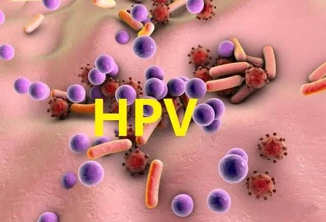 hpv病毒症状图片真实图片