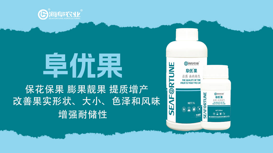 总的来说,黄瓜高产的必备条件包括优良品种的选择,土壤和肥料的科学