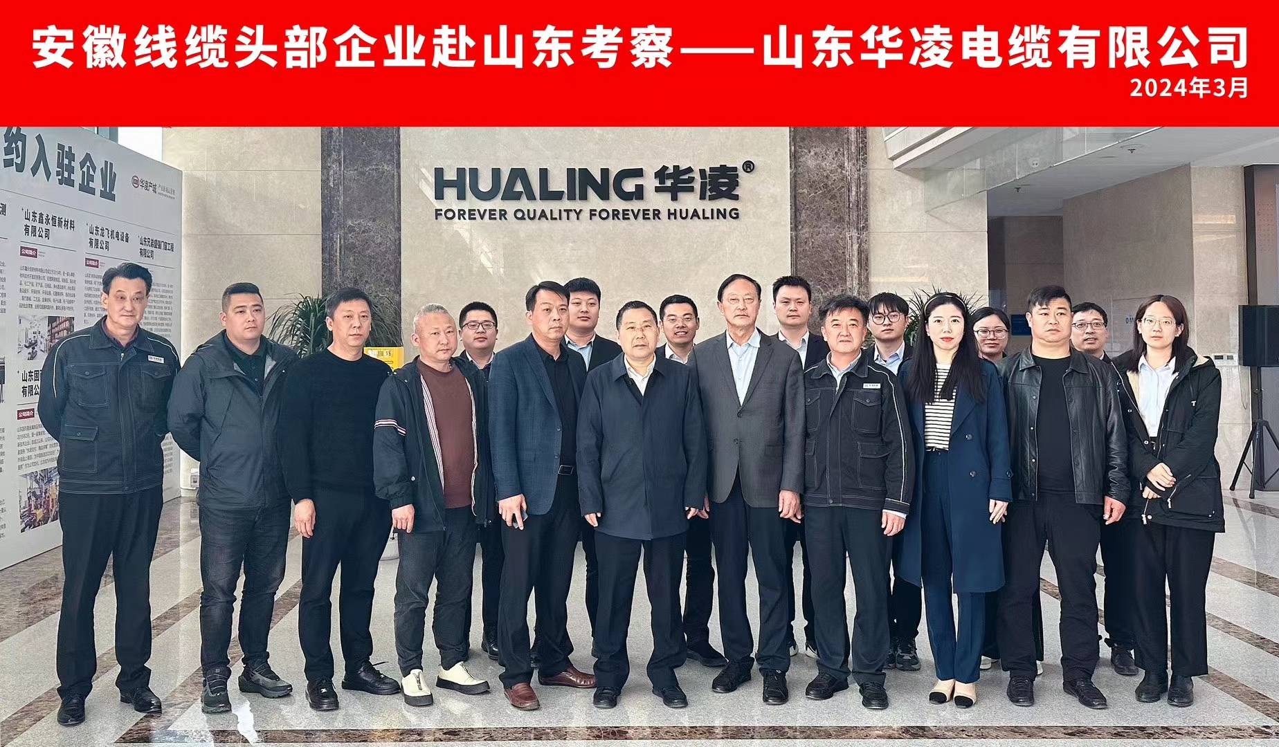 鲁能泰山电缆有限公司,山东正泰电缆有限公司和山东华凌电缆有限公司