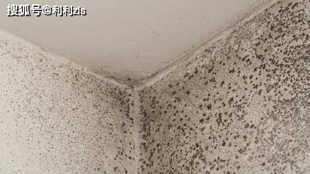 墙面发霉怎么处理