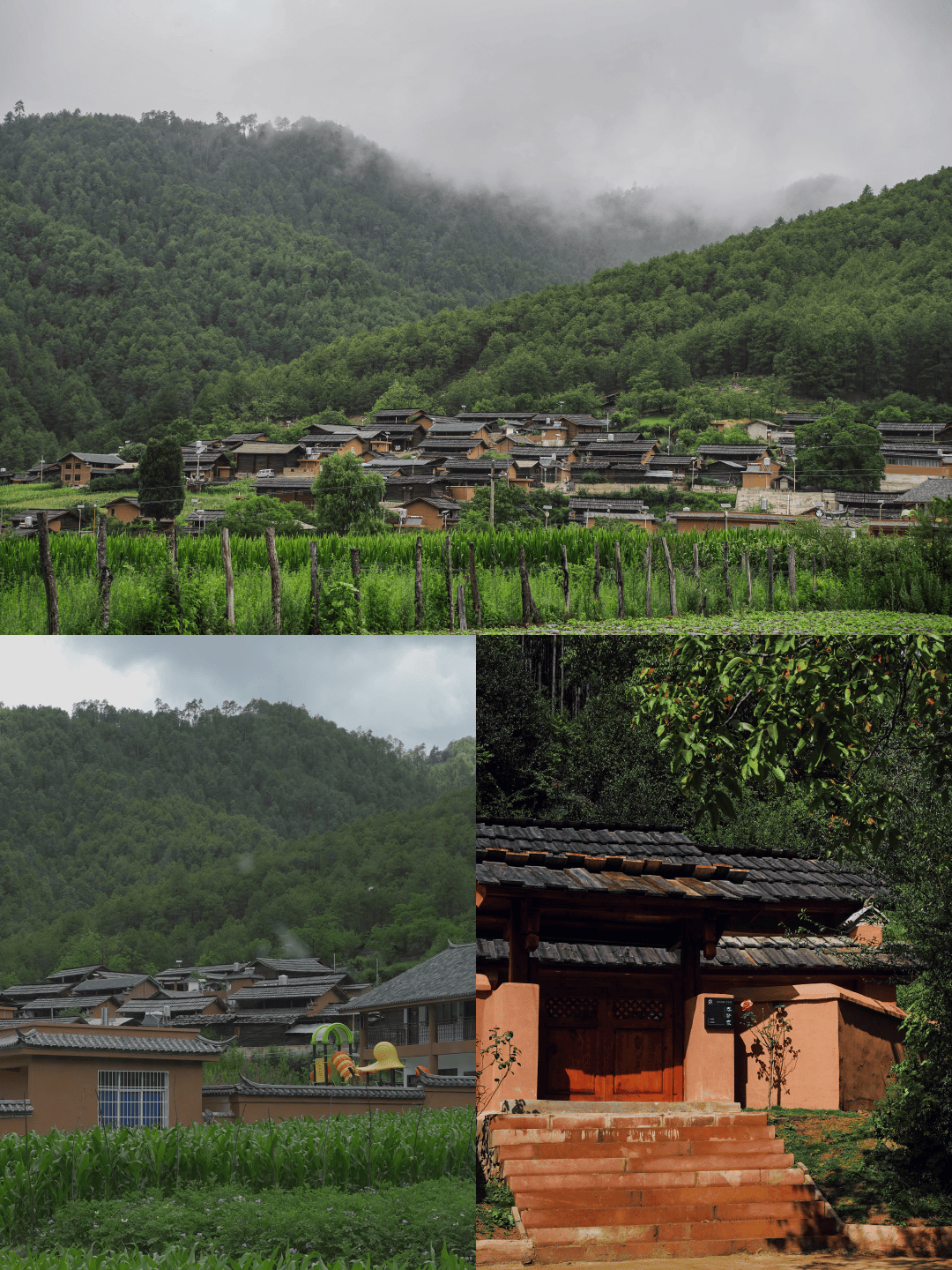 哪儿#云南周边游#罗古箐徒步#大羊场湿地公园大草原#爬山日记#五一徒