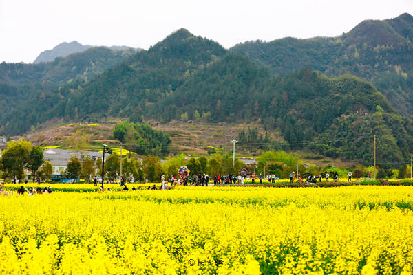 感受"朝秦暮楚地,自然中国心"竹溪春天带来的热情与__