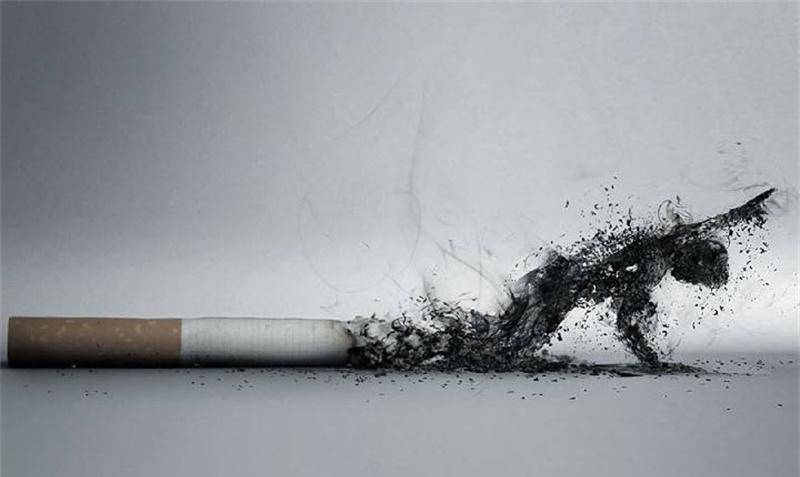 原创英烟草公司养48条狗做实验每天给抽100根烟持续3年结局如何