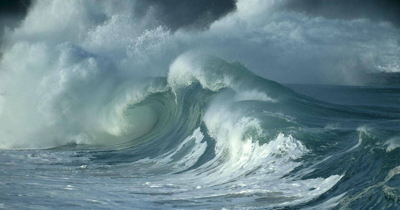 原创龙是否真的存在过呢