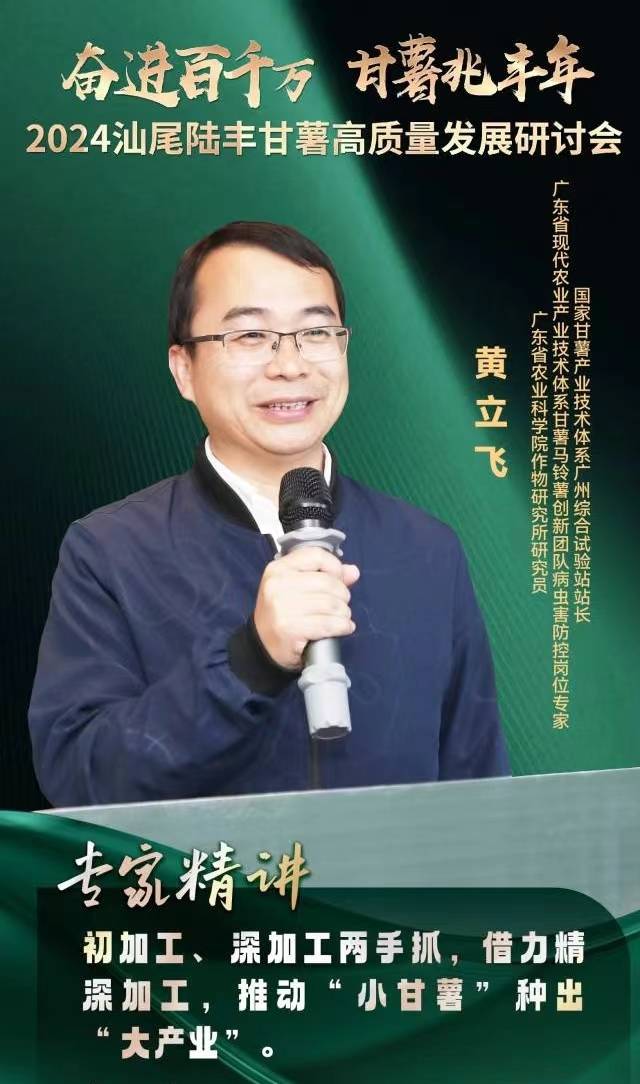 黄立飞甘薯脱毒种苗产业价值高市场需求大